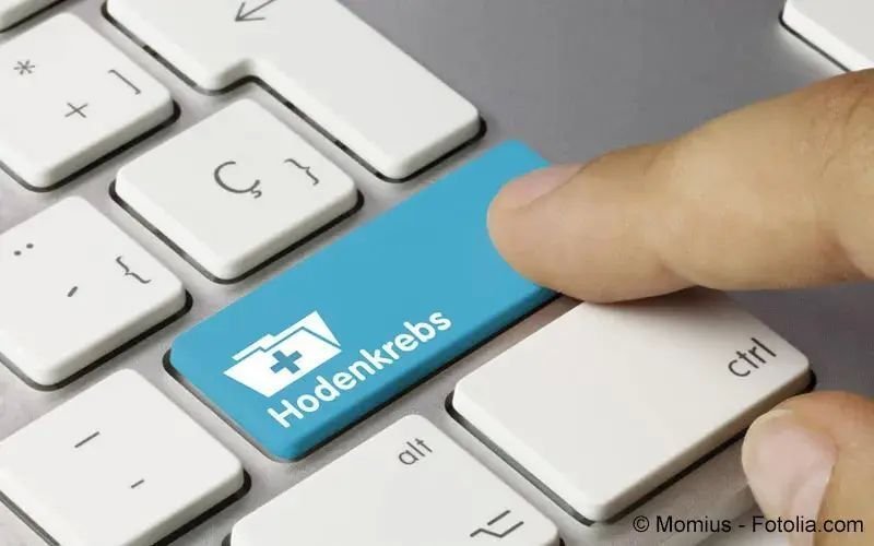 Hodenkrebs (Hodenkarzinom)