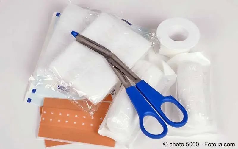 Hundebiss Entzündung Beim Hund