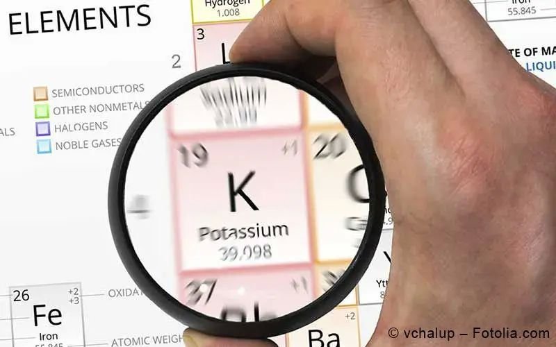 Kaliummangel katze was tun