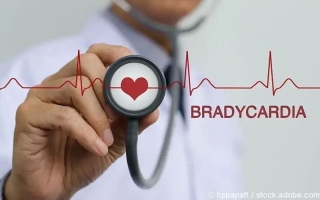 Bradykardie – Langsamer Herzschlag