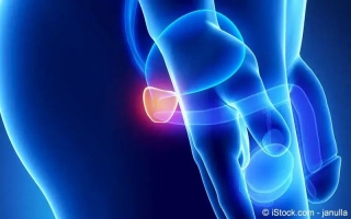 Prostatitis – Entzündung Der Prostata